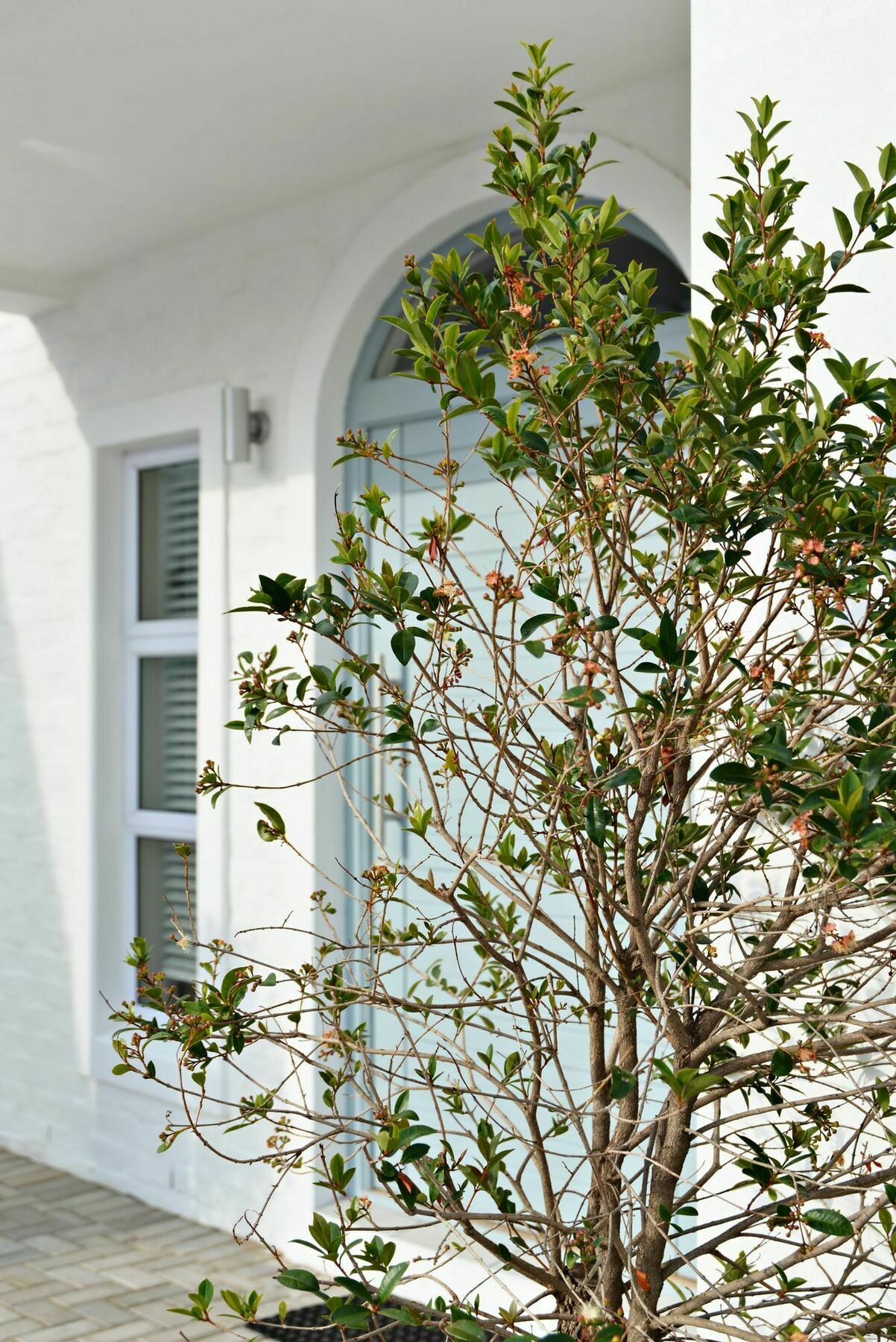 The Gables Hermanus Ngoại thất bức ảnh